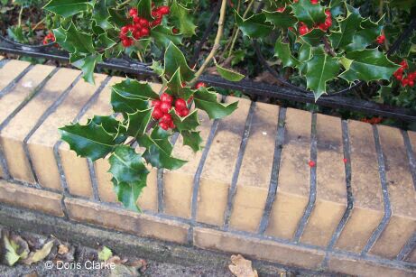 f_n_2007_100_5599