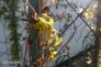 f_n_2007_100_8439
