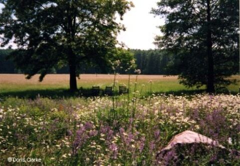 f_x_1999_bugapark_001.jpg