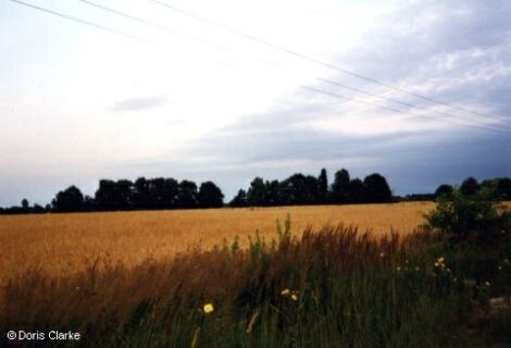 f_x_1999_feld_001.jpg