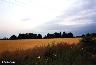 f_x_1999_feld_001