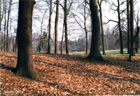 f_x_1999_park_branitz_001.jpg