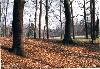 f_x_1999_park_branitz_001