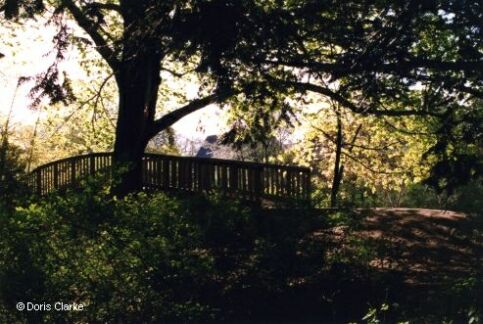 f_x_1999_weg_001.jpg