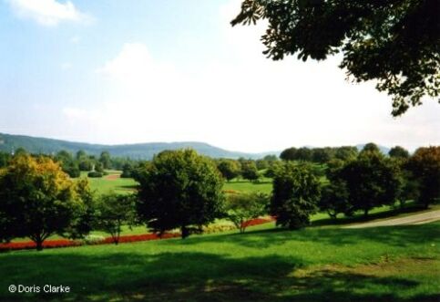 f_x_2000_bn_rheinaue_001.jpg