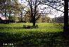 f_x_2000_bugapark_001