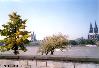 f_x_2002_k_rhein_002