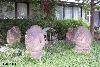 f_x_2003_bn_001
