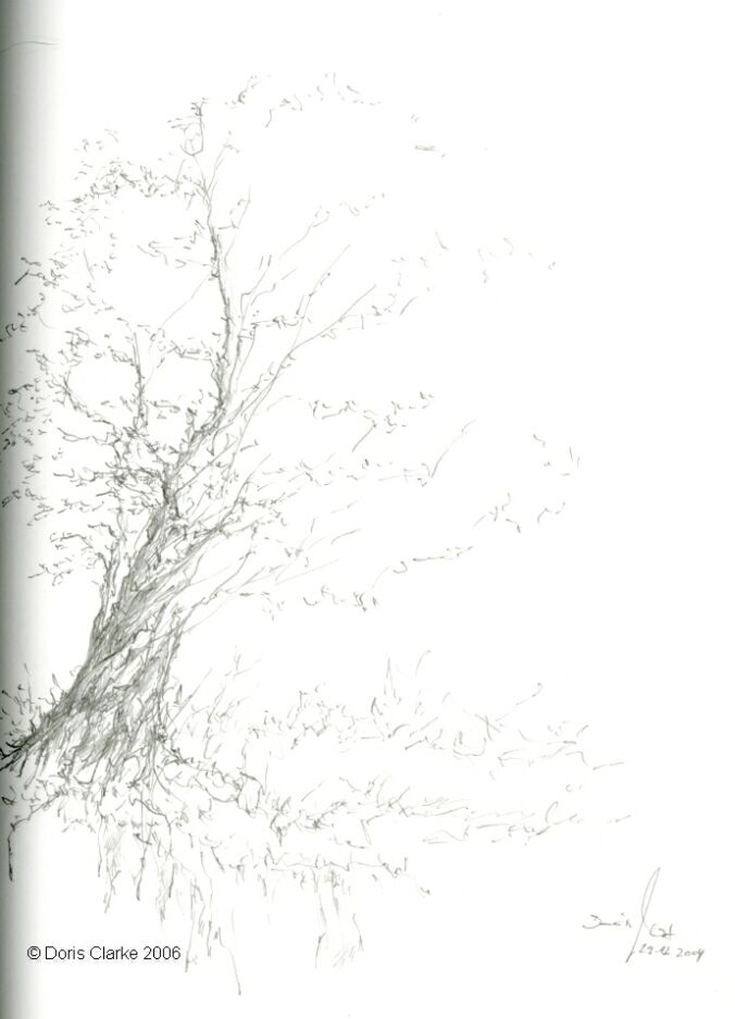 oak2