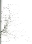 oak. 2