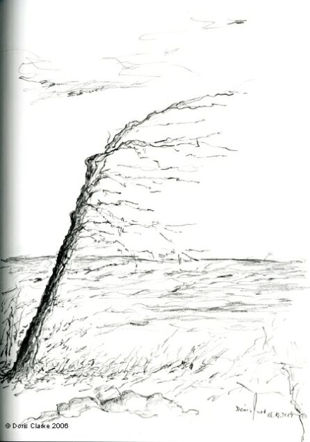 Wind